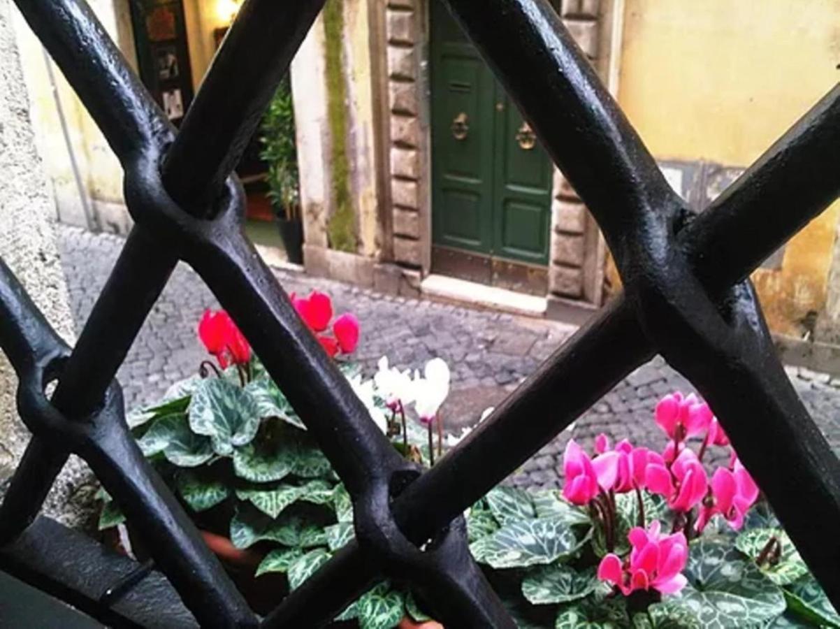 Apartment Residenza Dei Banchi Nuovi - Exclusive